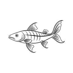 Outline of a Otocinclus Fish Vector