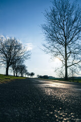 Wet asphalt road at sunset perspective