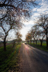Car driving on rural road with trees at sunset
