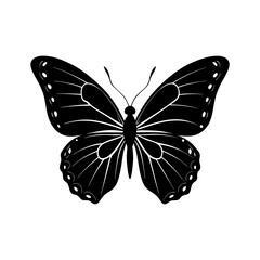 Butterfly Silhouette vector illustration