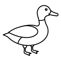 Animal Mallard line art vector