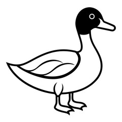 Animal Mallard line art vector