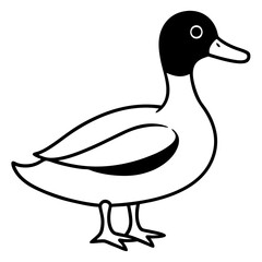 Animal Mallard line art vector