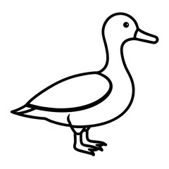 Animal Mallard line art vector