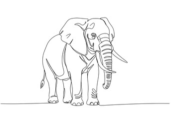 Fototapeta premium vector illustration of elephant
