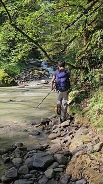 Walking at river and forest
