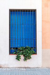 A vibrant contrast of Mediterranean architecture and urban flora in Barcelona, showcasing the...