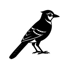 Blue Jay Silhouette vector illustration