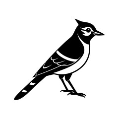 Blue Jay Silhouette vector illustration