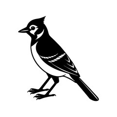 Blue Jay Silhouette vector illustration
