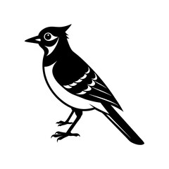 Blue Jay Silhouette vector illustration