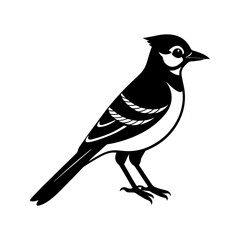 Blue Jay Silhouette vector illustration
