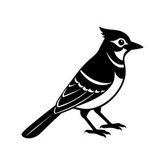 Blue Jay Silhouette vector illustration