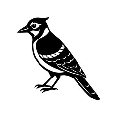 Blue Jay Silhouette vector illustration