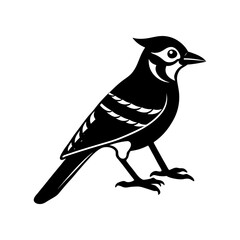 Blue Jay Silhouette vector illustration