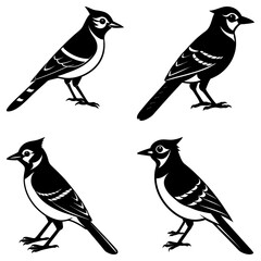 Blue Jay Silhouette vector illustration