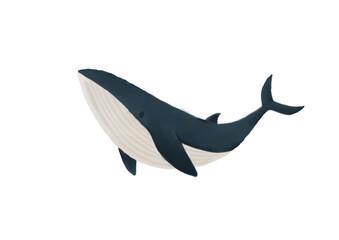 Whale DarkB 4