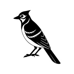 Blue Jay Silhouette vector illustration