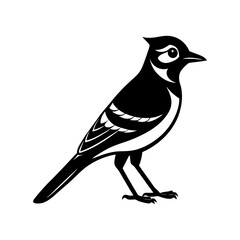 Blue Jay Silhouette vector illustration