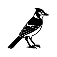 Blue Jay Silhouette vector illustration