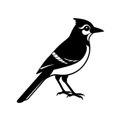 Blue Jay Silhouette vector illustration