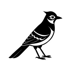 Blue Jay Silhouette vector illustration