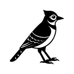 Blue Jay Silhouette vector illustration
