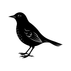 Blackbird Silhouette vector illustration