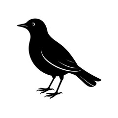Blackbird Silhouette vector illustration