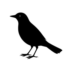 Blackbird Silhouette vector illustration