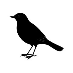 Blackbird Silhouette vector illustration