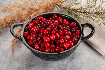 Ripe sweet sour cranberry heap
