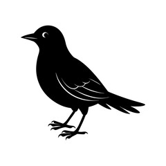 Bird Silhouette vector illustration