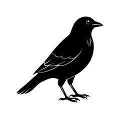 Bird Silhouette vector illustration