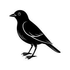 Bird Silhouette vector illustration