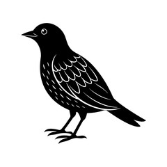 Bird Silhouette vector illustration