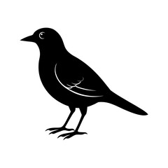 Bird Silhouette vector illustration