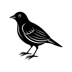 Bird Silhouette vector illustration