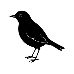 Bird Silhouette vector illustration