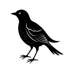 Bird Silhouette vector illustration