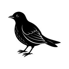 Bird Silhouette vector illustration