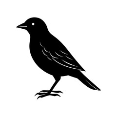 Bird Silhouette vector illustration