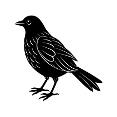 Bird Silhouette vector illustration