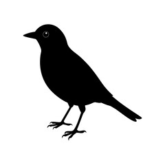 Bird Silhouette vector illustration