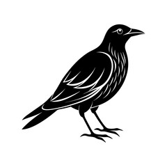 Bird Silhouette vector illustration