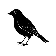 Bird Silhouette vector illustration