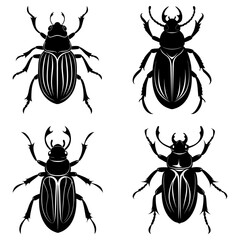 Beetle Silhouette vector illustration