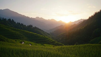Fototapeta premium Sunrise over terraced rice paddies