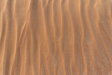 Red sand summer texture with grains of sand. Close-up sand wave dune background. Copy space for text. Top view.