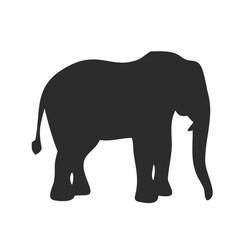 Elephant silhouette facing forward